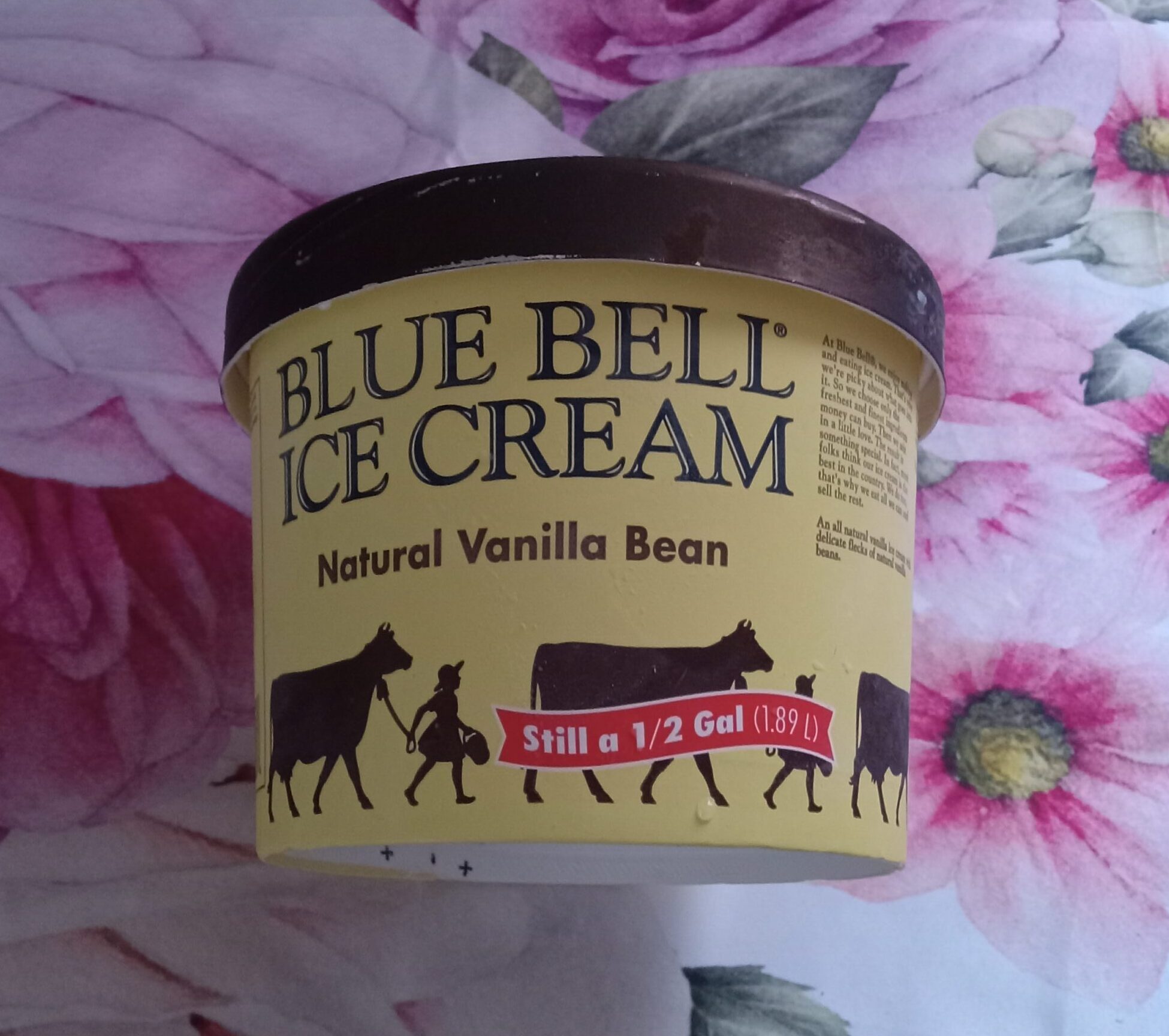 Bluebell Ice Cream best ice cream vanilla ice cream Texas ice cream creamy ice cream comfort food soothing ice cream Bluebell flavors ice cream review Bluebell Vanilla