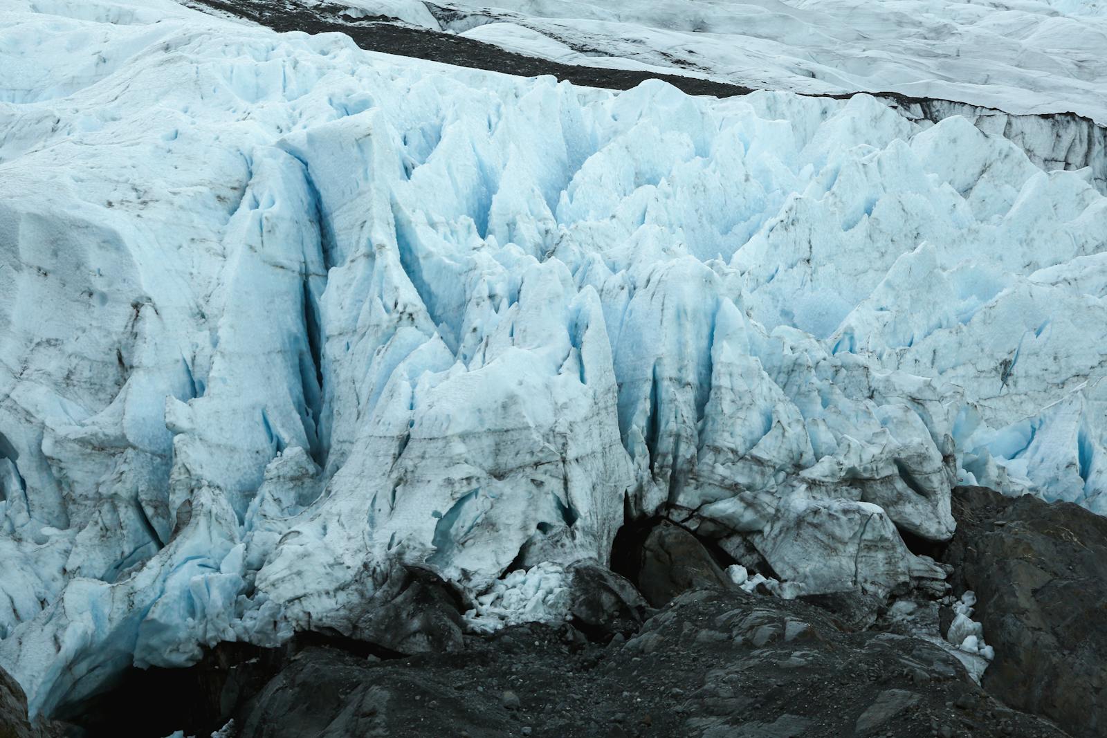 Leviathan creature, Antarctica mystery, sea creature sighting, Leviathan sighting, legendary creatures, Antarctica discovery, hidden creature, giant sea monster, cryptid sightings, unexplained mysteries