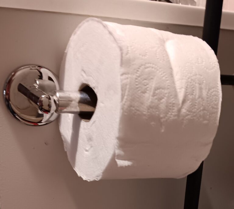 Standard Toilet Paper Holder: Solve the Mega Roll Frustration Now