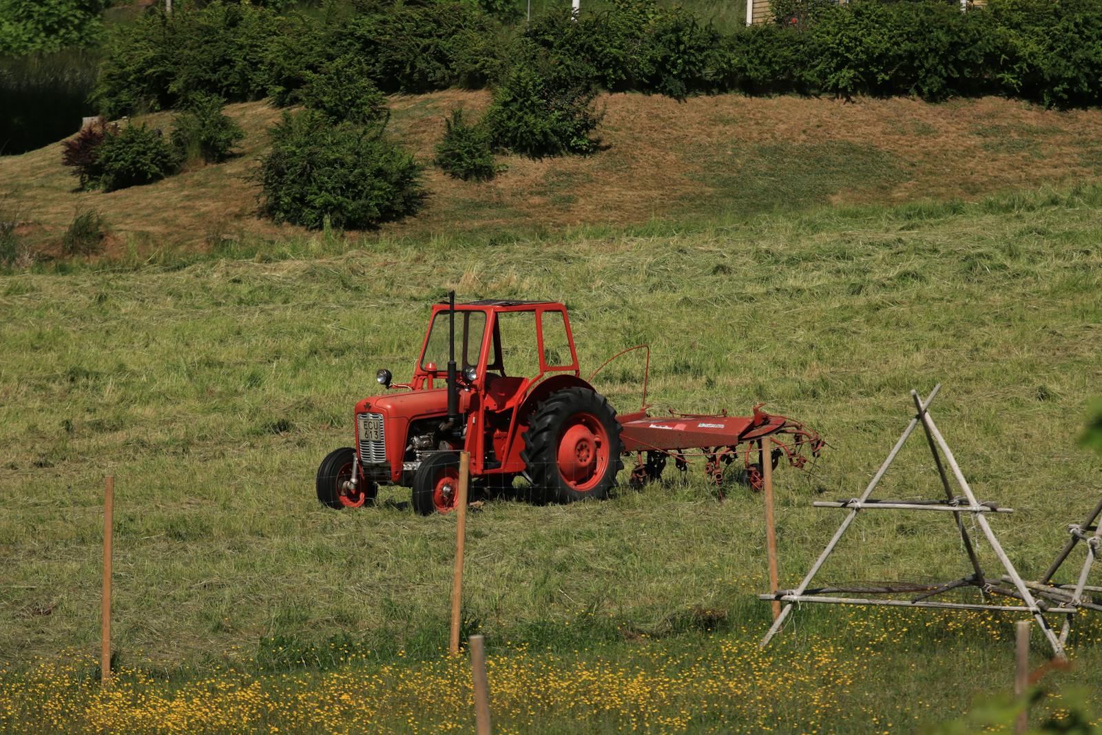 clearing land on a budget clearing land land clearing on a budget affordable land clearing DIY land clearing budget friendly land clearing save money clearing land tools for clearing land land clearing tips clearing land efficiently homestead land clearing